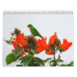 Calendar of colorful flowers in the Phillippines