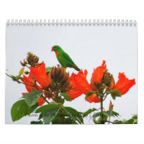 Calendar of colorful flowers in the Phillippines by webdiva888 Calendar of colorful flowers in the Phillippines