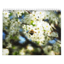 Calendar of Enyart Art