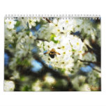 Calendar of Enyart Art