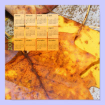 Calendar Posters posters