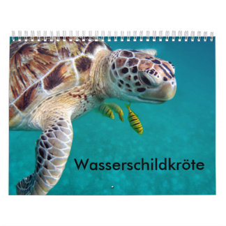 Turtle Calendars | Zazzle