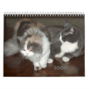 Calendar with cats