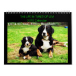 Calendar with Levi the Bernese Mt. Dog