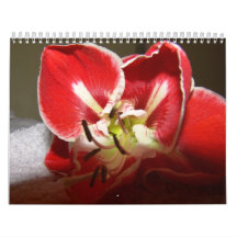 Calendario 12 de la flor