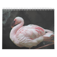 Calendario 2010