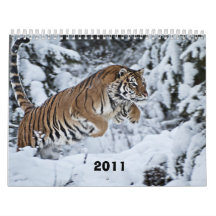 Calendario 2011