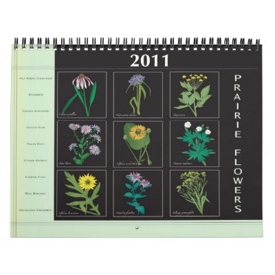 Calendario 2011 de los Wildflowers de la pradera Calendario 2011 de los Wildflowers de la pradera