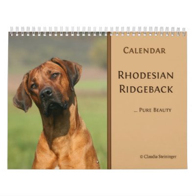 Calendario 2011 de Rhodesian Ridgeback Calendario 2011 de Rhodesian Ridgeback