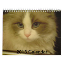 Calendario 2013 de la cuenta descendiente