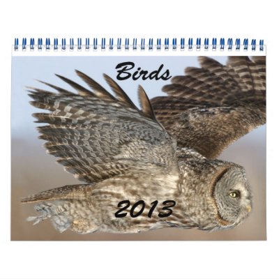 Calendario 2013 de pájaros Calendario 2013 de pájaros