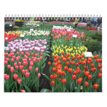 Calendario 8 de la flor