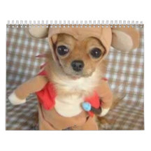 Calendario animal