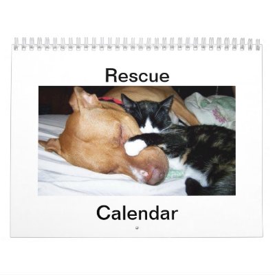 Calendario de 2012 rescates Calendario de 2012 rescates