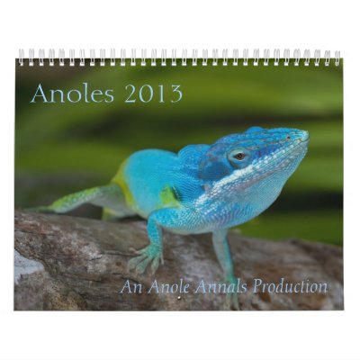 Calendario de Anoles 2013 Calendario de Anoles 2013
