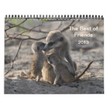 Calendario de FKMP Meerkats 2013