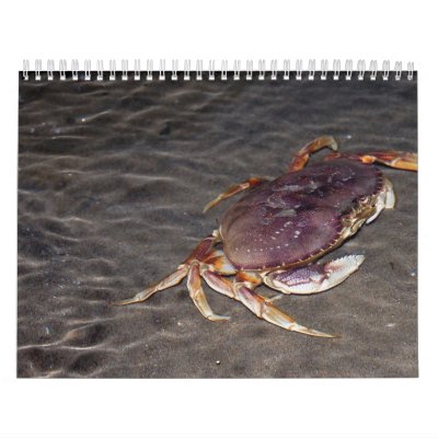 Calendario de la costa de Oregon Calendario de la costa de Oregon