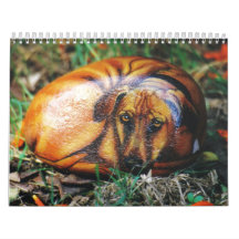 Calendario de la roca del perro