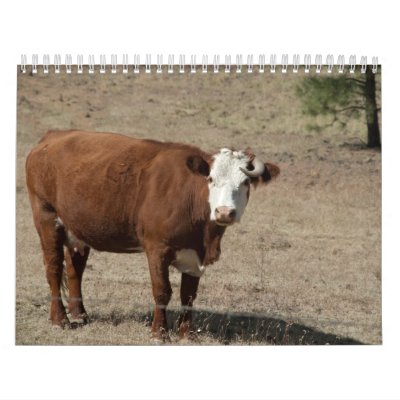 Calendario de la vaca Calendario de la vaca