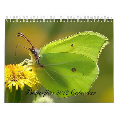 Calendario de las mariposas Calendario de las mariposas