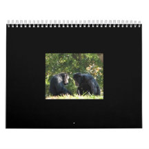 calendario de los monos