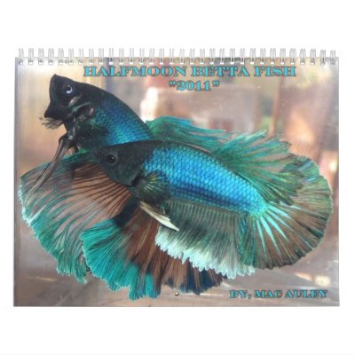 Calendario de los pescados de Betta de la media lu Calendario de los pescados de Betta de la media lu