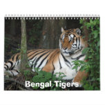 Calendario de los tigres de Bengala, tigres de Ben