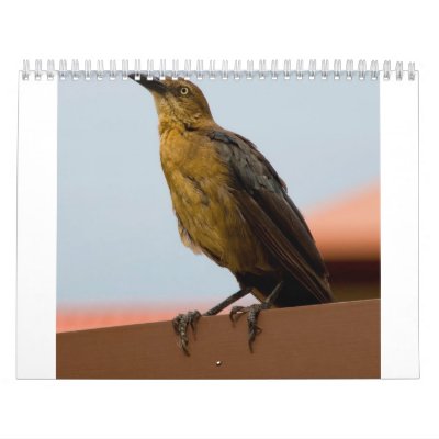 Calendario de oro del pájaro Calendario de oro del pájaro