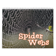 Calendario de pared de los Web de araña