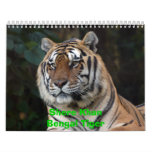 Calendario de Shere Khan, tigre de Shere KhanBenga
