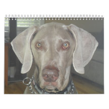 Calendario de Weimaraner