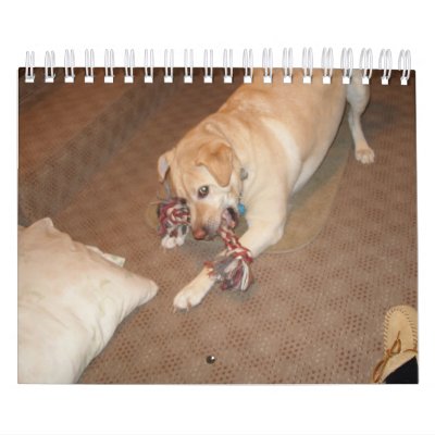 Calendario del perro Calendario del perro