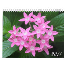 Calendario floral de la fotografía 2011