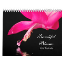 Calendario hermoso de las floraciones 2013