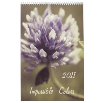 Calendario imposible de los colores 2011