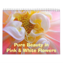 Calendario puro de las flores blancas del rosa de 