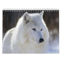Calendario salvaje por un año salvaje