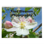 Calendars Photography Tree Blossoms Nature