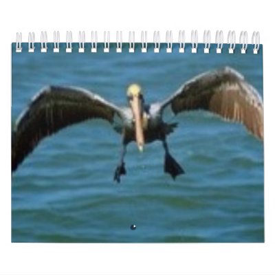 Calender Calendars by Yopi_S