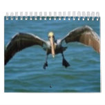 Calender