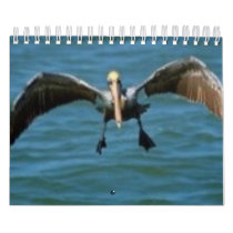 Calender calendars