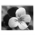 Calender in B&W calendars by Hammye01 Calender in B&W calendars