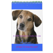Calender of Cute Dogs- 2009 calendars by koalabearlau Calender of Cute Dogs- 2009 calendars