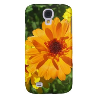 Calendula Trio Photo HTC Vivid / Raider 4G Cover