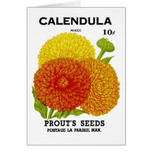 Calendula Vintage Seed Packet Greeting Card