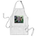 Calf 1, Apron