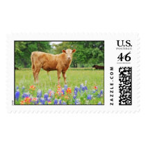 Calf and Bluebonnets Stamps