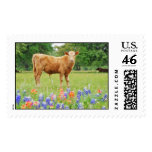 Calf and Bluebonnets Stamps