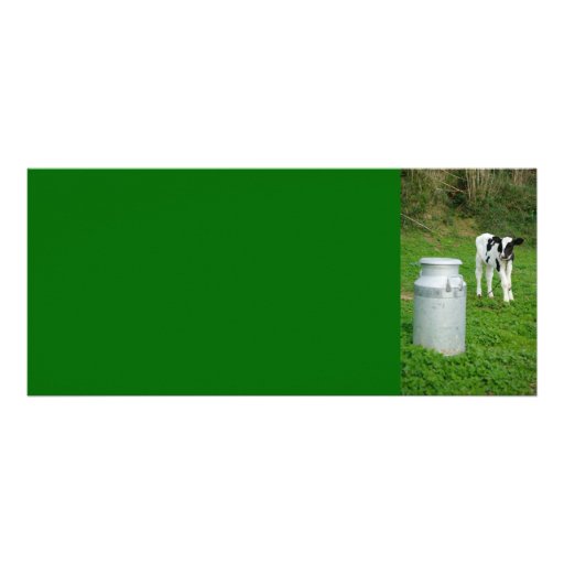 Calf and milk urn custom rack cards