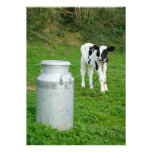 Calf and milk urn invites